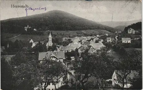 Ansichtskarte Bad Herrenalb Panorama-Ansicht 1909   gel