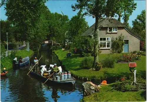 Postkaart Giethoorn-Steenwijkerland Giethoorn Veevervoer per punter 1980