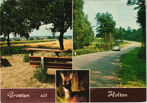 Rijssen-Holten Toeristenweg Holterberg Holten Ortsansichten 1970