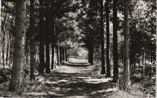 Postkaart Chaam Omgeving Putven Ortsansicht mit Waldweg 1960