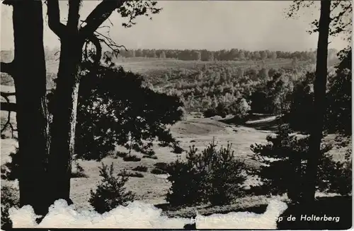 Postkaart .Niederlande Landschaft bei Holten Holterberg 1960
