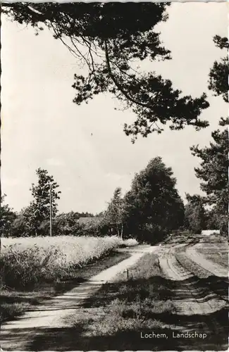 Postkaart Lochem Lochem, Landschap Ortsansicht 1966