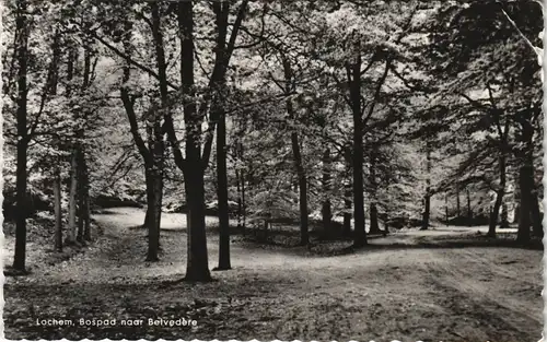 Postkaart Lochem Lochem, Bospad naar Belvedere 1965