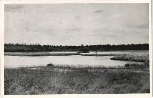 Borger-Odoorn Borger - Lunsveen Landschaft Holland Niederlande 1970