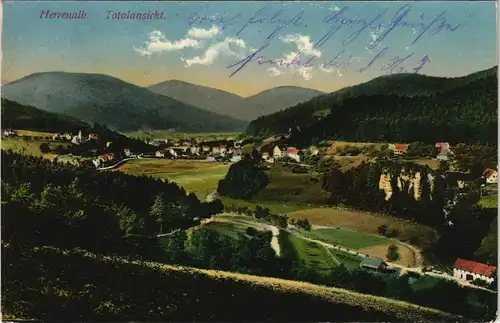Ansichtskarte Bad Herrenalb Totale 1911