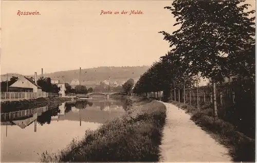 Ansichtskarte Rosswein/ Roßwein Partie an der Mulde - Fabrik 1913