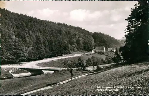 Ansichtskarte Steinegg (Schwarzwald) Partie im Würmtal 1960