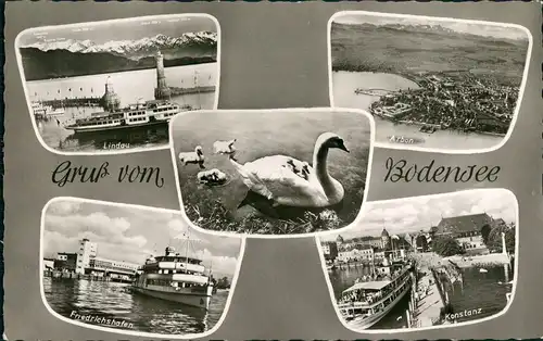 .Vorarlberg Mehrbild-AK Gruss vom Bodensee div. Orte & Motive 1957