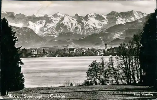 Ansichtskarte Seeshaupt Panorama-Ansicht Blick zum See und Alpen 1957