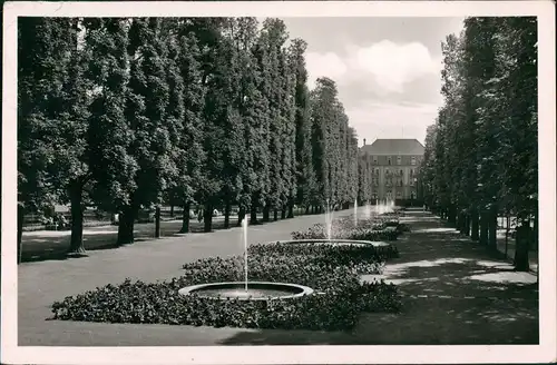 Ansichtskarte Bad Pyrmont Kuranlagen Kurpark mit Springbrunnen-Allee 1953