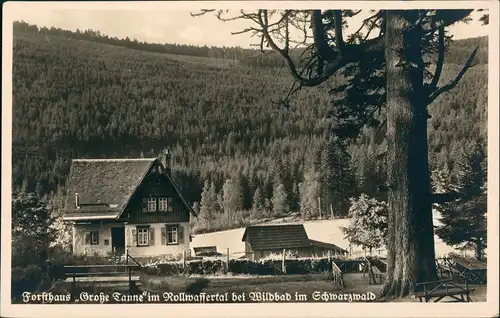 Ansichtskarte Bad Wildbad Forsthaus im Rollwasser-Tal, grosse Tannen 1940