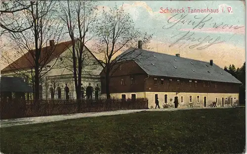 Ansichtskarte Schöneck (Vogtland) Partie am Tannenhaus 1910