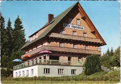 Ansichtskarte Titisee-Neustadt Café Alpenblick Pension 1962