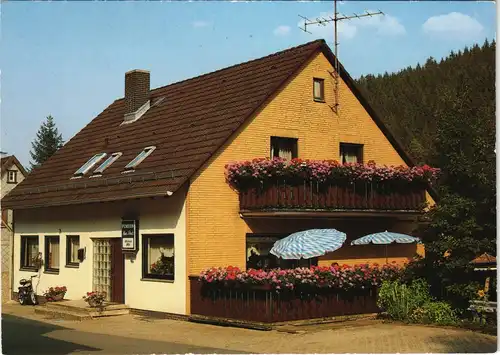 Altenau-Clausthal-Zellerfeld Pension Haus Schulz An der Silberhütte 1990
