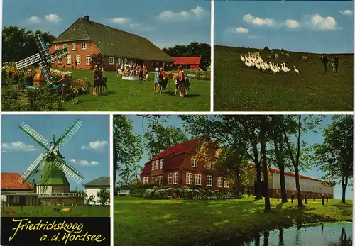 Friedrichskoog Mehrbildkarte mit 4 Foto-Ansichten ua. Windmühle 1980