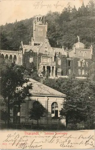 Ansichtskarte Tharandt Schloss Suminsky 1903