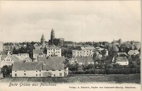Postcard Patschkau Paczków (Patschke) Blick auf die Stadt 1913