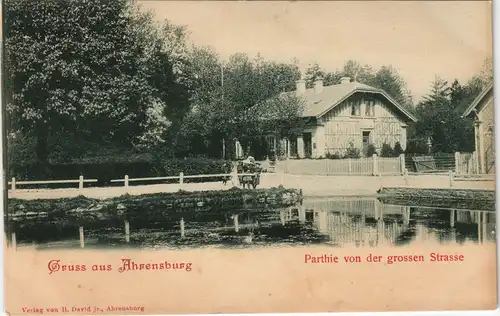Ansichtskarte Ahrensburg Partie an der Großen Strasse 1903