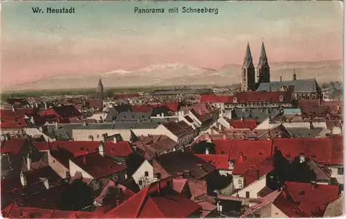 Ansichtskarte Wiener Neustadt Stadt mit Schneeberg coloriert 1909