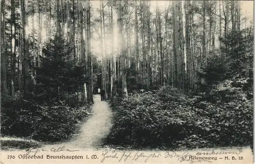 Ansichtskarte Brunshaupten-Kühlungsborn Partie am Helenensee 1919