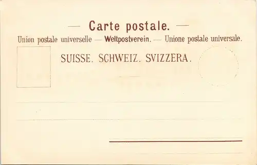 Ansichtskarte Bern Parlamentsgebäude und Bellevue-Palace 1906