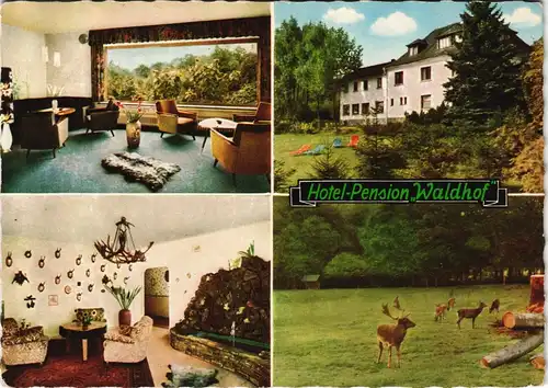 Schürdt Hotel Pension WALDHOF Region Flammersfeld (Westerwald) 1965