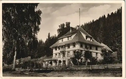 Ansichtskarte Hinterzarten Titisee - Löffelschmiede 1930
