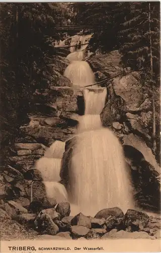 Ansichtskarte Triberg im Schwarzwald Kaskaden-Wasserfall (Waterfall) 1910
