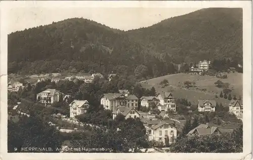 Bad Herrenalb Panorama mit Villen, Häusern und Hummelsburg 1910