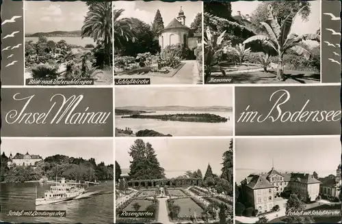 Ansichtskarte Insel Mainau-Konstanz MB Bananen, Park, Schloß 1960