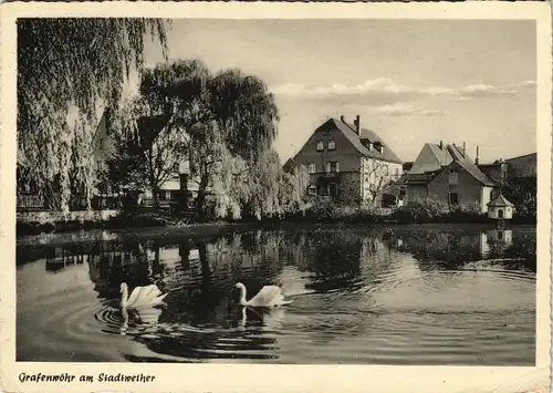 Ansichtskarte Grafenwöhr Am Stadtweiher - Schwäne 1957