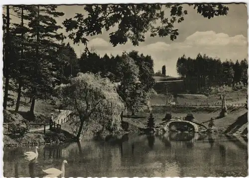 Ansichtskarte Iserlohn Rupenteich 1967