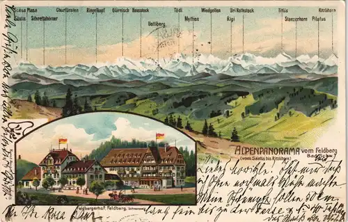 .Baden-Württemberg Alpen Panorama vom Feldberg Baden Schwarzwald aus 1906
