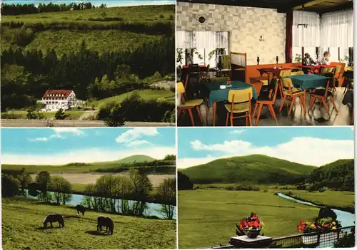 Dodenau-Battenberg (Eder) Waldpension Ederblick Inh. Gebr. Pitz,   1974