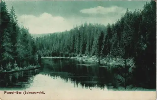 Ansichtskarte Poppel-See Poppel-See Schwarzwald (Mittelgebirge) 1910/1909