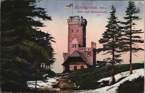 Seebach Aussichtsturm Hornisgrinde color AK Schwarzwald (Mittelgebirge) 1920