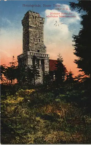 Ansichtskarte Seebach Neuer Turm Aussichtsturm Hornisgrinde Schwarzwald 1910