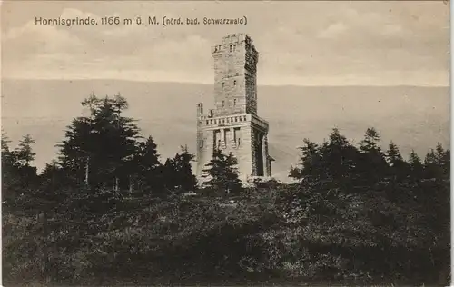 Seebach Aussichtsturm Hornisgrinde Schwarzwald (Black Forest tower) 1910