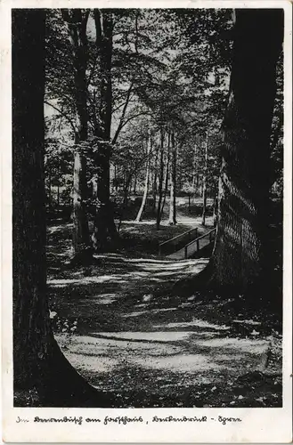 Ansichtskarte Berkenbrück Waldpartie gel. Bahnpost 1938