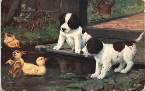 Ansichtskarte  Tiere - Hunde, Welpen und Küken Künstlerkarte 1910