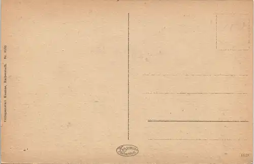 Ehrenbreitstein-Koblenz Schiffsbrücke Panorama-Ansicht Ehrenbreitstein 1910