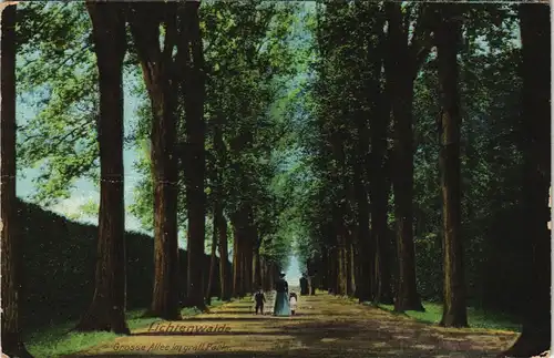 Lichtenwalde-Niederwiesa Schloß Lichtenwalde Gräflicher Park color AK 1910