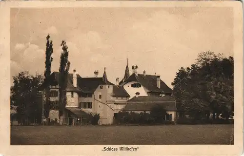 Ansichtskarte Bern Schloß Witikofen 1928