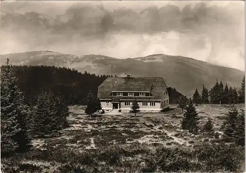 Ansichtskarte Todtnau Berggasthof - Stübenwasen 1959