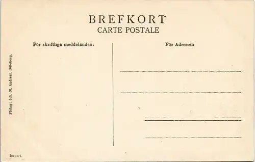 Postcard Göteborg Göteborg Skansen Lejonet 1911