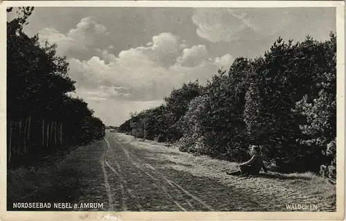 Ansichtskarte Nebel (Amrum) Sandweg, Mädchen - Wäldchen 1937