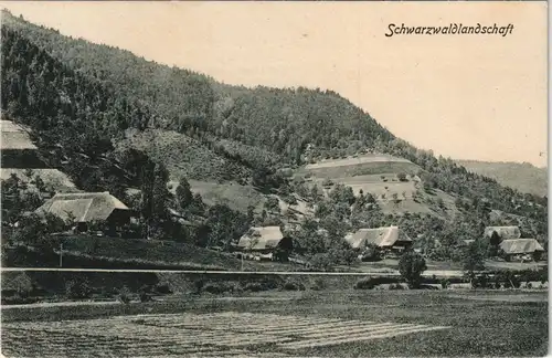 Ansichtskarte .Baden-Württemberg Schwarzwald - Schwarzwaldhäuser 1911