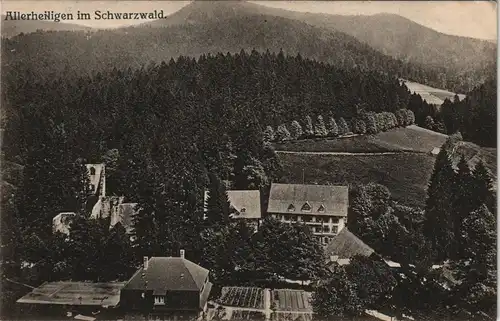 Ansichtskarte Allerheiligen Stadtpartie 1912