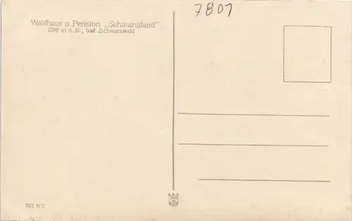 Freiburg im Breisgau Waldhaus und Pension Schauinsland im Schwarzwald 1920