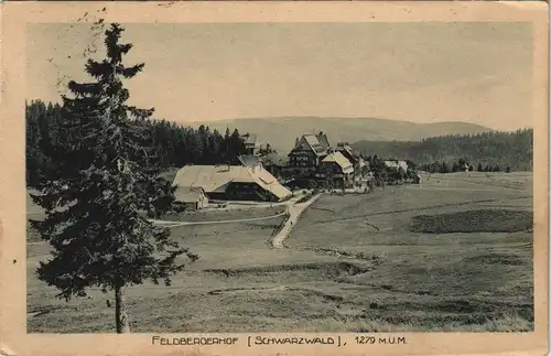 Ansichtskarte Titisee-Neustadt Feldberg und Feldbergerhof im Schwarzwald 1924